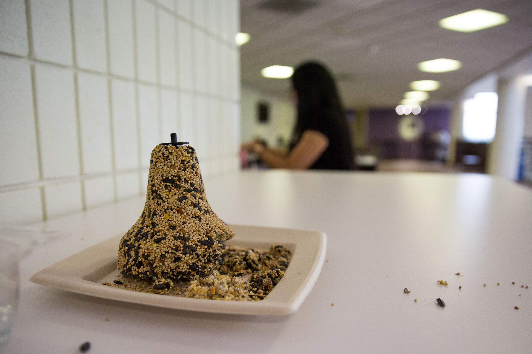 Bird feed in Atrium